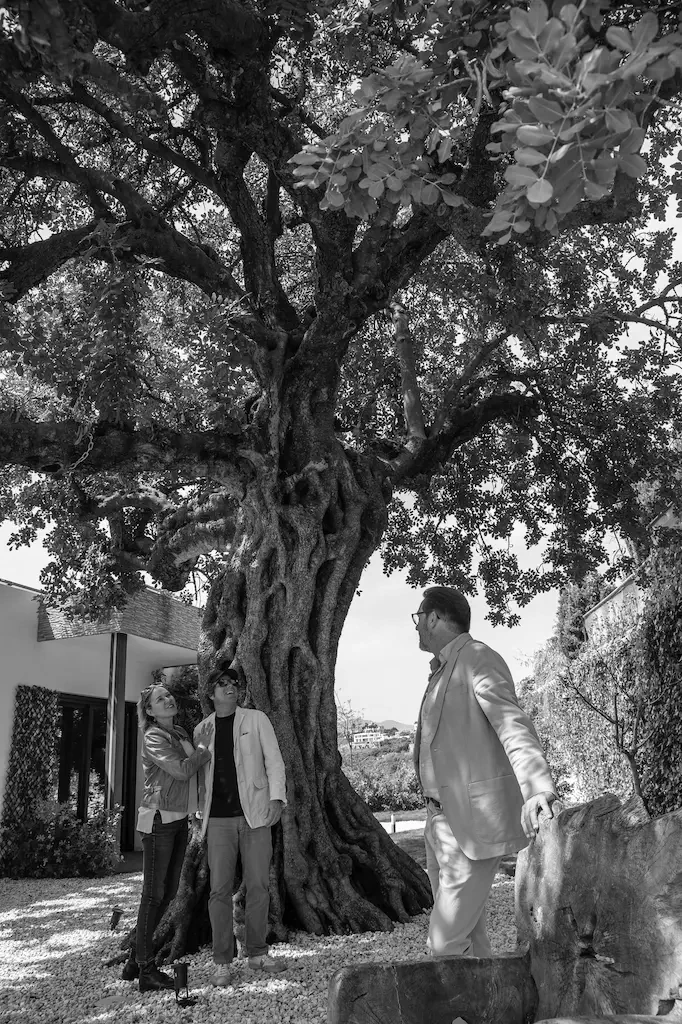 Image of the team in the office.