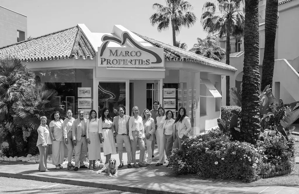 Image of the team in the office.